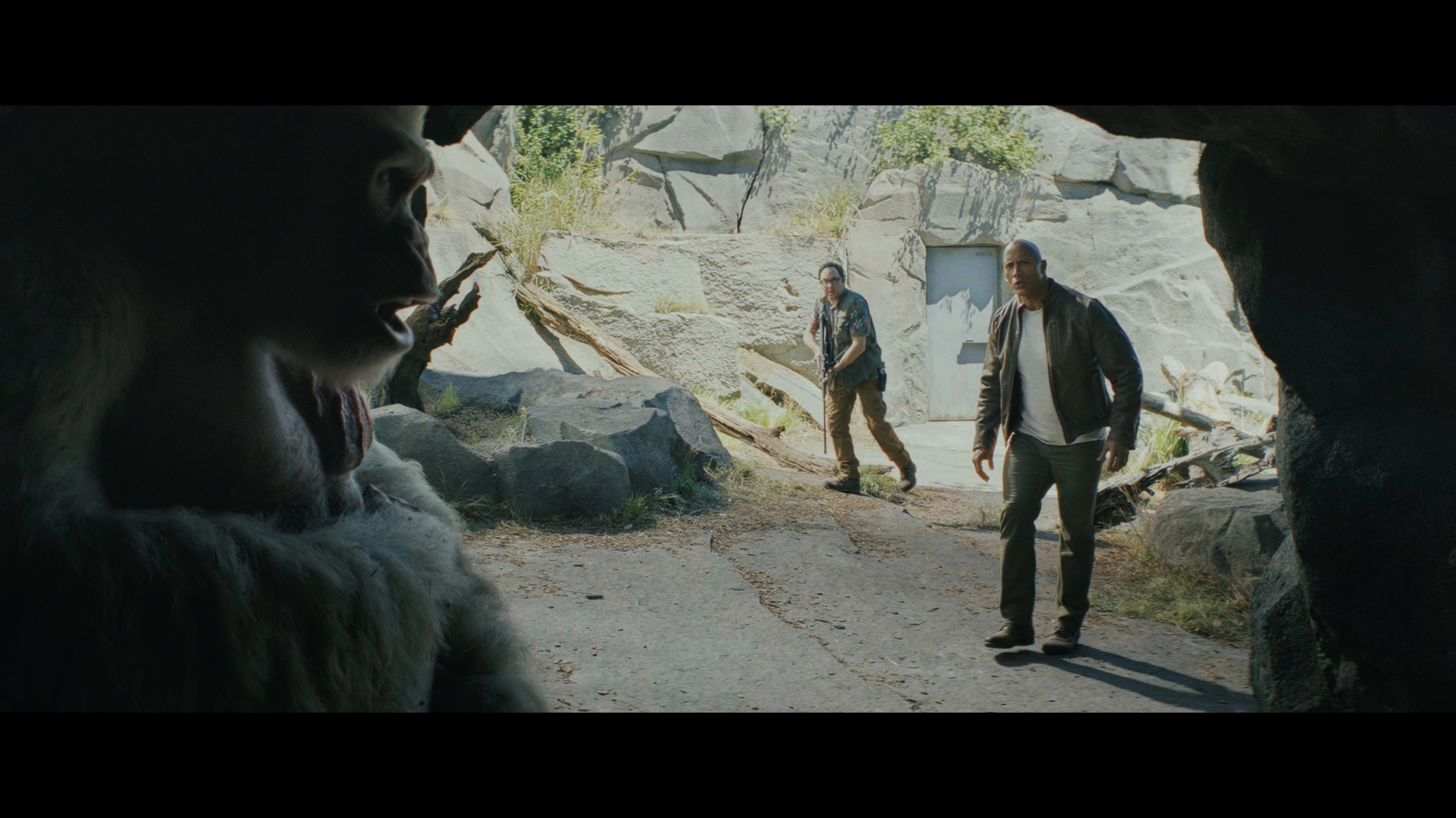 Still 2025 11 01 162122 1.1.1